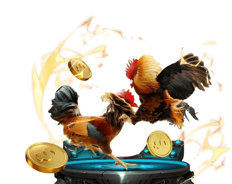 Hoàn trả hàng ngày 88casino